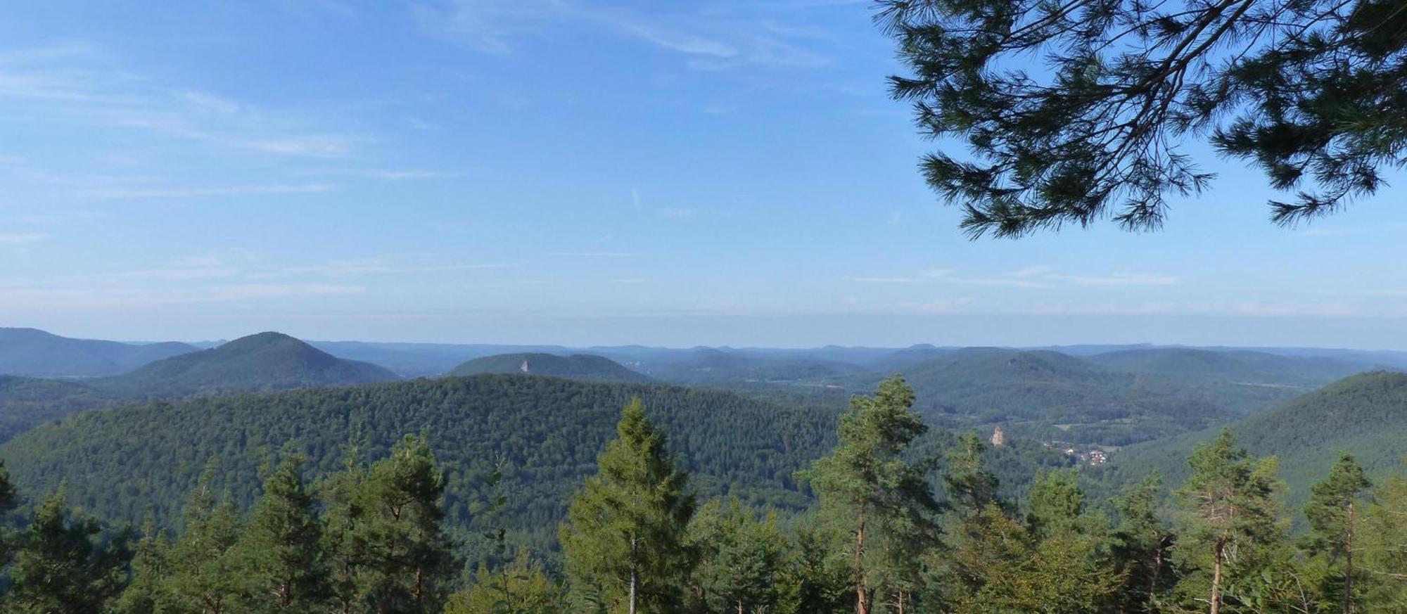 Ferienwohnung "Monte Noble" Suedpfalz Erlenbach  エクステリア 写真