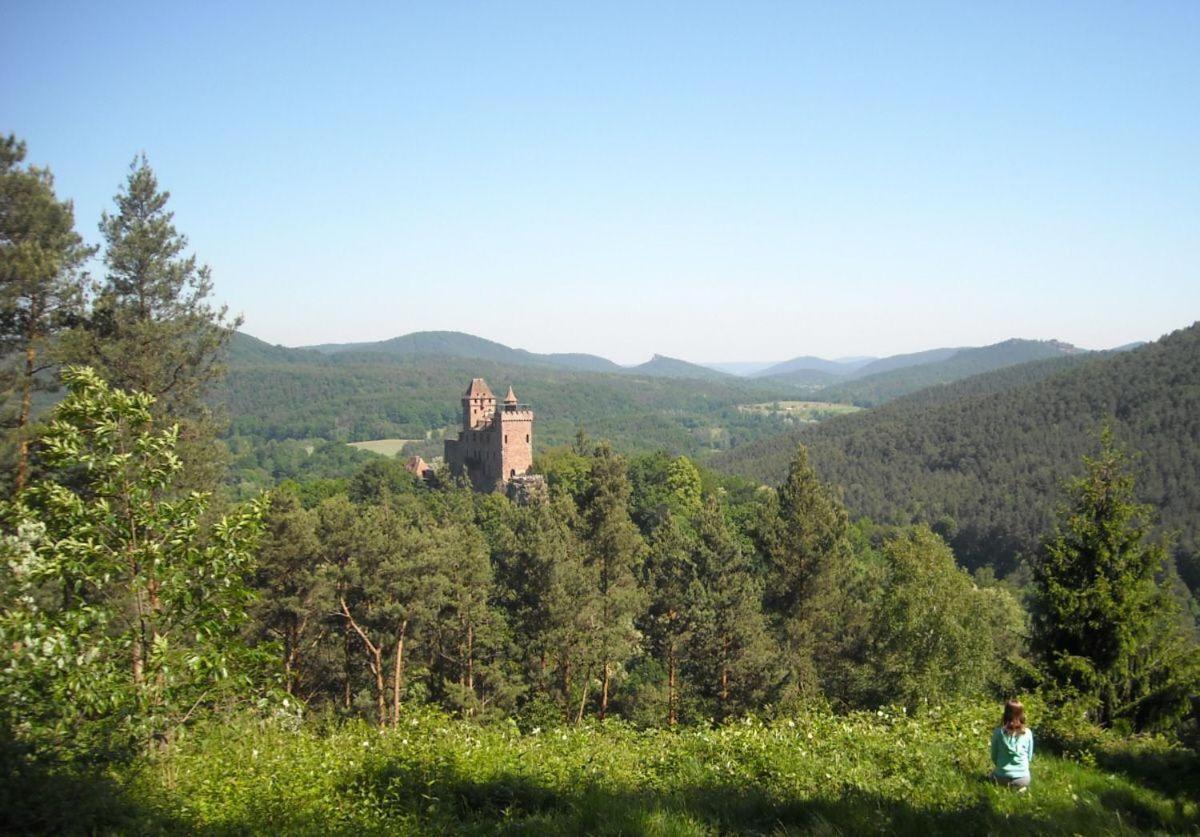 Ferienwohnung "Monte Noble" Suedpfalz Erlenbach  エクステリア 写真