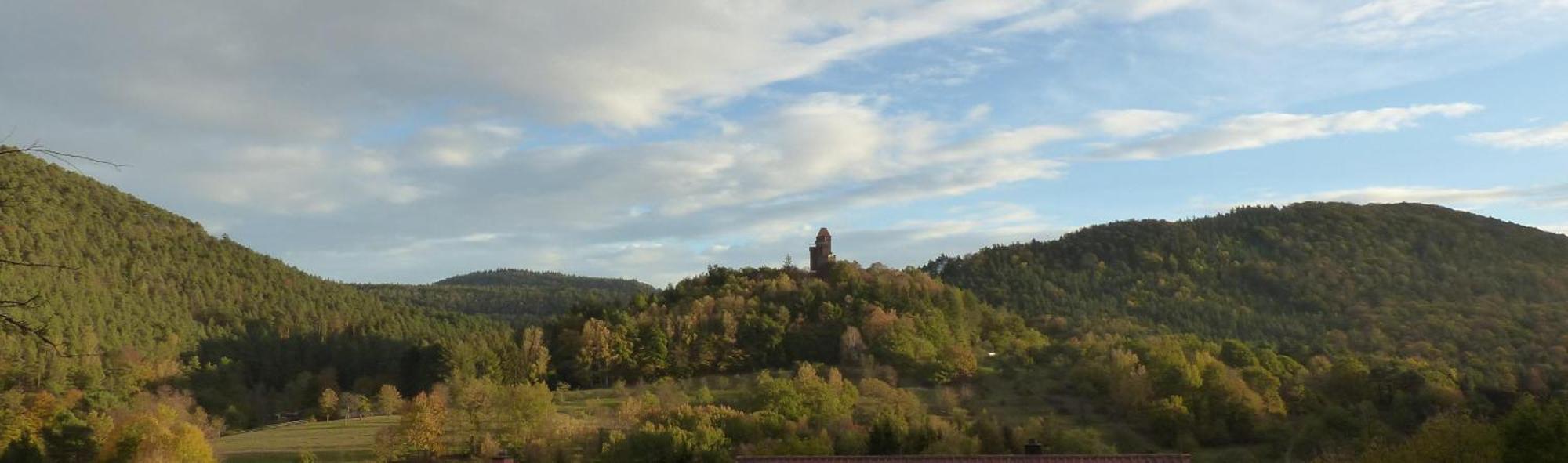 Ferienwohnung "Monte Noble" Suedpfalz Erlenbach  エクステリア 写真