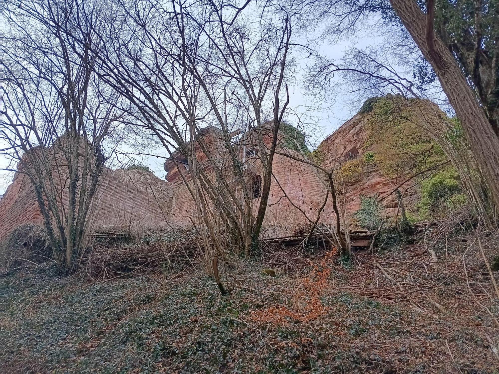 Ferienwohnung "Monte Noble" Suedpfalz Erlenbach  エクステリア 写真